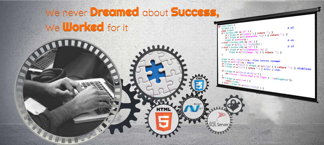 We never dreamed about success we worked for it